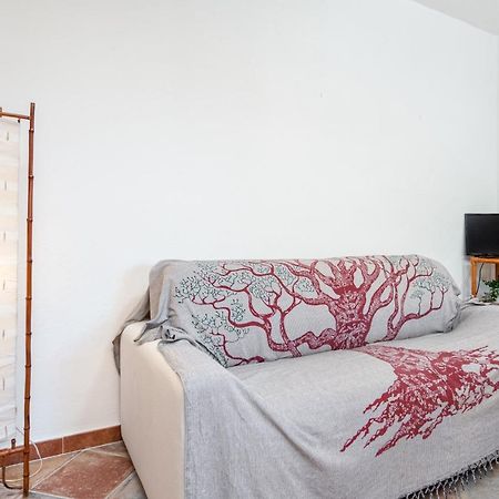 Holiday House Li Piri San Teodoro  Bagian luar foto